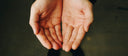 Optimism and Longevity: The Science Behind the Glass Half Full