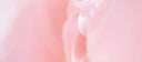 Close-up of soft pink rose petals, menopause skin flushing and rosacea