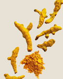 Turmeric<em> (Curcuma longa)</em>