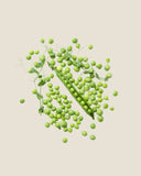 Pea Protein Isolate <em>(Pisum sativum)</em>